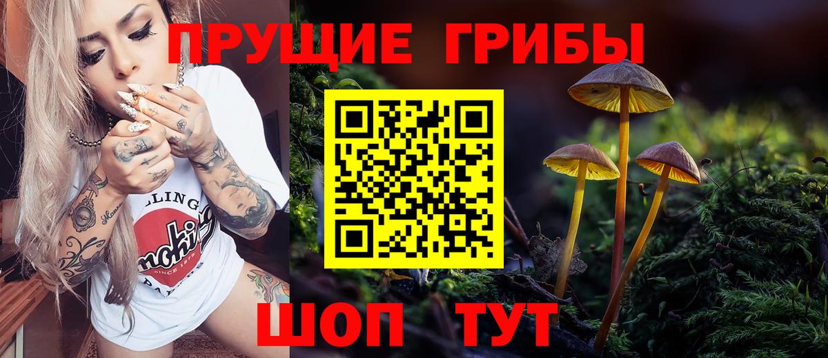 Белорецк  где найти   Галлюциногенные грибы прущие грибы  Вход с VPN  Псилоцибиновые грибы мицелий 