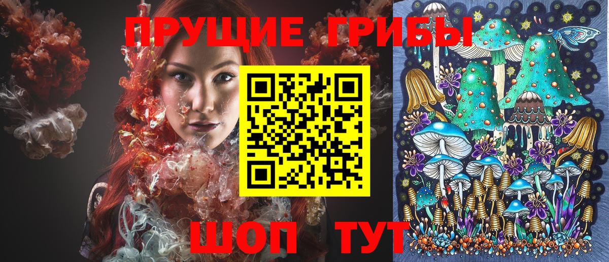 Галлюциногенные грибы Psilocybine cubensis Белорецк